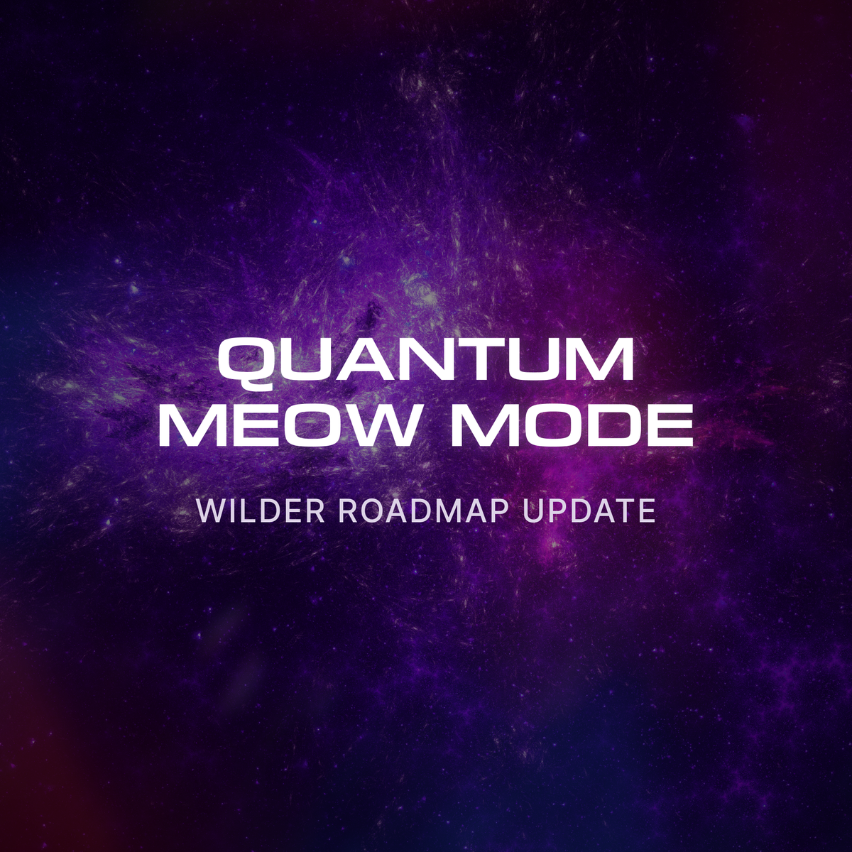 Wilder Roadmap Update: Activate QUANTUM MEOW MODE