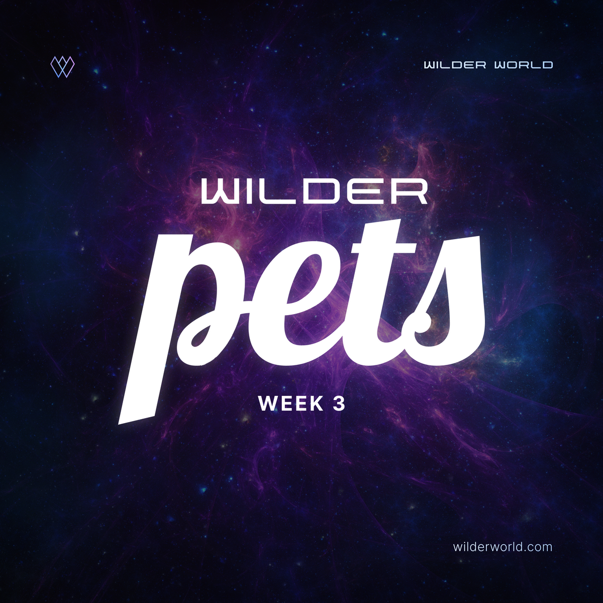 Week 3: Pets Reveal & Quest Winners