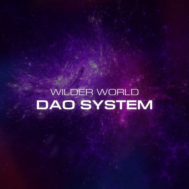 Introducing the WW DAO System